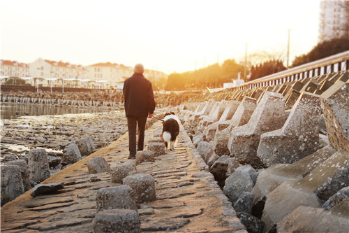 兰州失智老人护理
